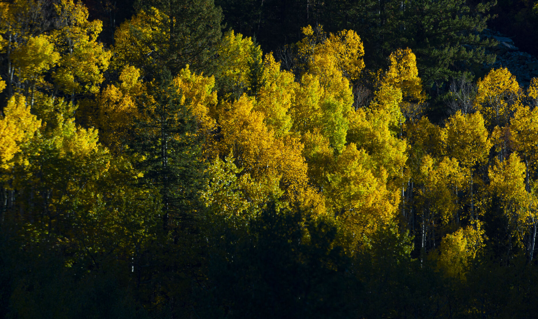 09_29_20 aspens0209.jpg